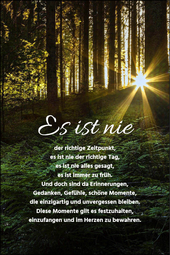 Waldlichtung