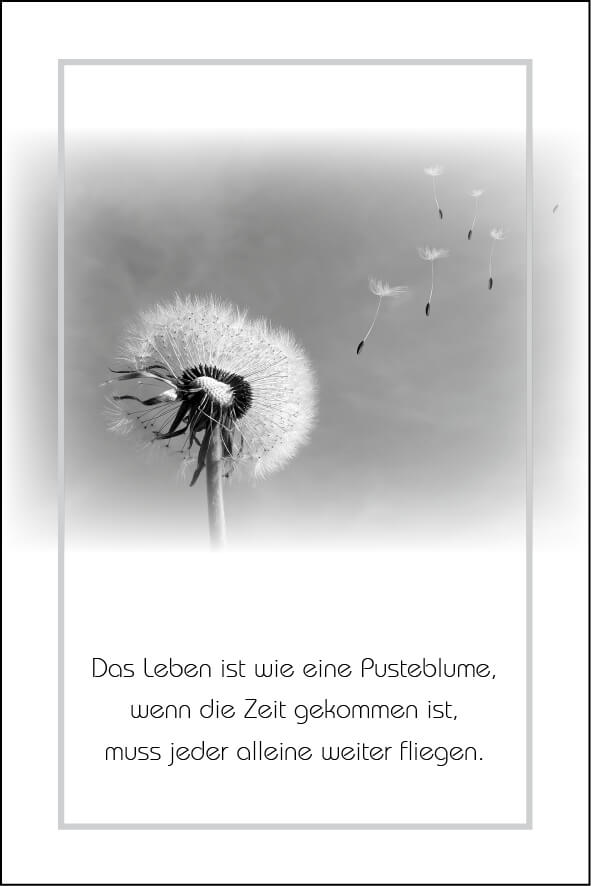 Pusteblume Trauerkarte & Sterbebild